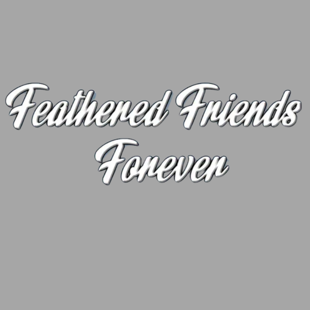 Feathered Friends Forever Bird Rescue Box
